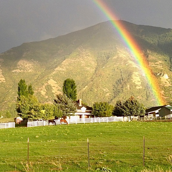 Meet your Posher, Laura Ann - Picture 13 of 13